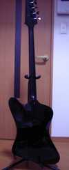 GIbson Thunderbird 2.jpg